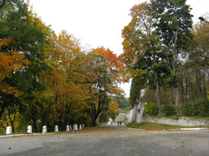 Дорога до замку з міста