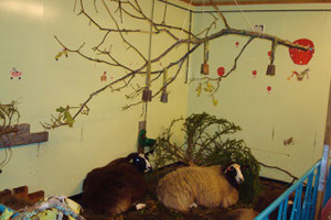 Maxi und Marie bei der Mittagsruh