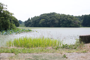 角田山麓の仁箇堤