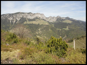 Blick auf Benediktenwand, Brauneck und den "anderen" Latschenkopf.