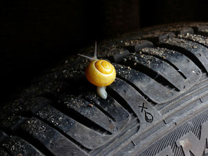 Reifen mit Schnecke