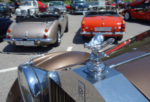 Austin Healey Golden Beige MG MGB Blaze
