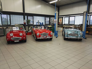 Austin Healey Club Schweis AHCS Treffen Hoeck 2019