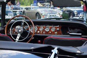Austin Healey Golden Beige