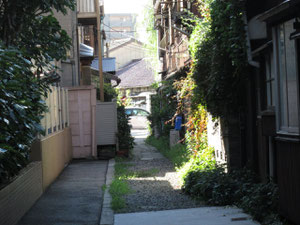 古町の路地はタイムスリップ的でワクワク!