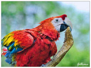 Parc zoologique de Champrepus