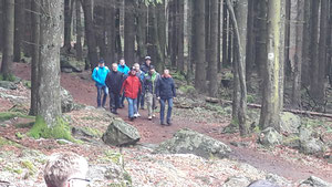 Mitglieder beim Waldspaziergang