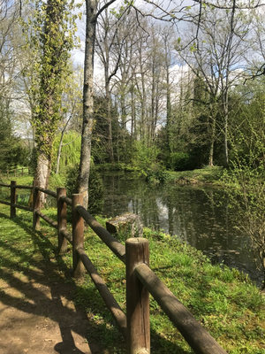 Le long d'un paisible ruisseau, un chemin serpente dans le Parc de la petite commune de Chierry au sud de l'Aisne, près de Château-Thierry où avait lieu le Salon Passion le 29 mai 2022
