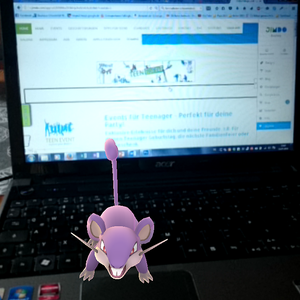 Ein wildes Rattfratz Pokémon Go