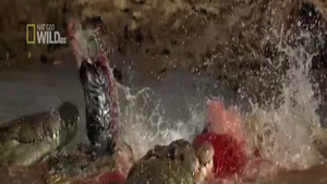 Selvaggio fiume di sangue