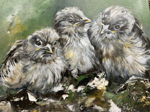 Spatzenkinder      20 x 30 cm