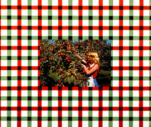 Junge blonde Frau bei der Apfelernte in Konstanz am Bodensee, 1997, Stoffdruck und Kunstharzlack auf Nessel, 51x60x5 cm 