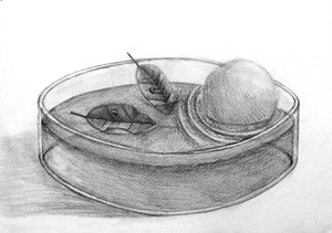 M.Kさん作　イメージ構成デッサン