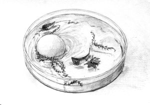 R.Kさん作　イメージ構成デッサン