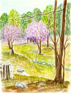 J.Sさん作　風景水彩