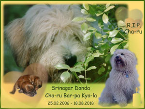 Cha-ru Bar-pa Kya-la "Cha-ru"