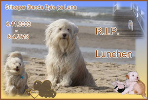 Byispa Luna "Lunchen"