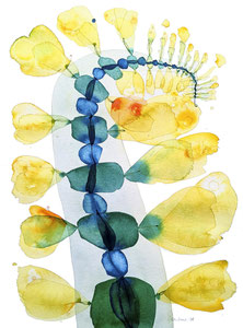 Citronella, 2024. 30x40cm, ink on Hahnemühle watercolor paper.