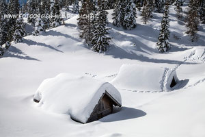 Kärnten, Winter am Dobratsch (Fotodesign-Wunderlich)