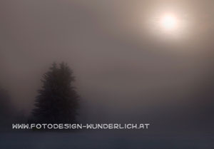 Kärnten, Winter, Nebel (Fotodesign-Wunderlich)