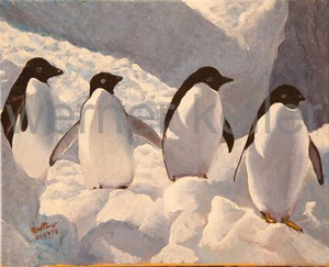 Pinguine - Original: Öl auf Leinwand, 60x50 cm, 850 € • Druck auf Leinwand: 100 €