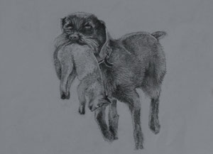 "Quincy mit Fuchs" 2011