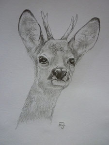 "Jährling" 2012