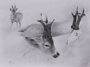 "Lebensbock"  2013