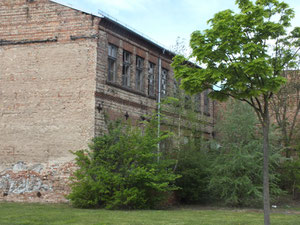 verfallene Fabrik, nähe Oder / Universität