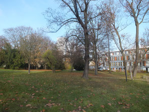 City-Park (im Hintergrund der Oderturm)