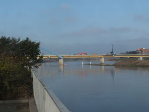 Oderufer, mit Blick auf die Brücke nach Slubicer (Polen)