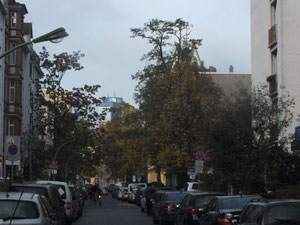 Berger Straße, Blick in die Bornheimer Landstraße