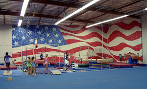 Mural for American Gymnastics Academy in Signal Hill.