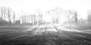 Tooting Common Misty Morning