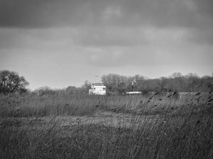 Schiff_im_Schilf