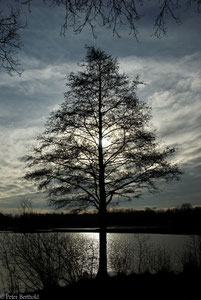 Oldenburg Kleiner Bornhorster See