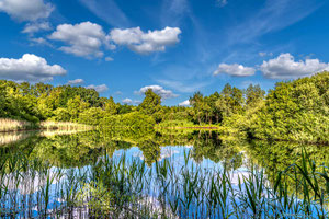 Sommer am kleinen Bornhorster
