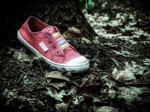 Turnschuh_im_Wald-1