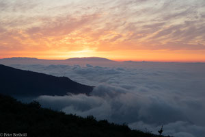 Sonnenuntergang Teide/Teneriffa