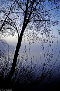 Oldenburg Kleiner Bornhorster See