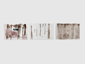 Wald, dreiteilig, 2012, series of 3 monotypes, 21 x 30 cm, on paper on wood