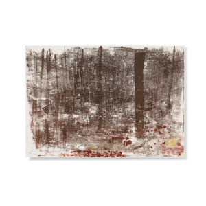 Wald 1, 2013, 42 x 60 cm, printing ink on paper on wood