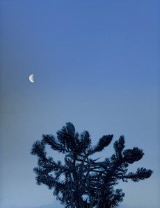 March 4th, (Nightscapes Series), Oil on Paper, 16 3/4 x 12 inches, 2024