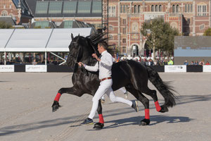 Museumplein Polo Amsterdam 2018