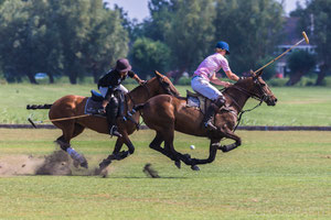 Chihuahua Cup - Polo Club Vreeland - 2018