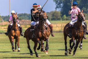 Chihuahua Cup - Polo Club Vreeland - 2018