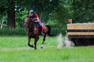 Cross Country Renswoude 2017 IMG_5608 [ISO 640 f/6.3 400mm 1/640s]