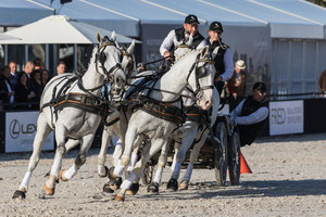 Museumplein Polo Amsterdam 2018