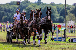 Marathon four in hand - CIA Beekbergen 2017 IMG_8643 [ISO 250 f/5 255mm 1/640s]