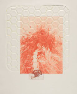 Courious clam, 2022 / Fotogravur, Linienätzung und Reliefdruck auf Büttenpapier / 31,5x28 (40,5x35,4) cm / Unikat